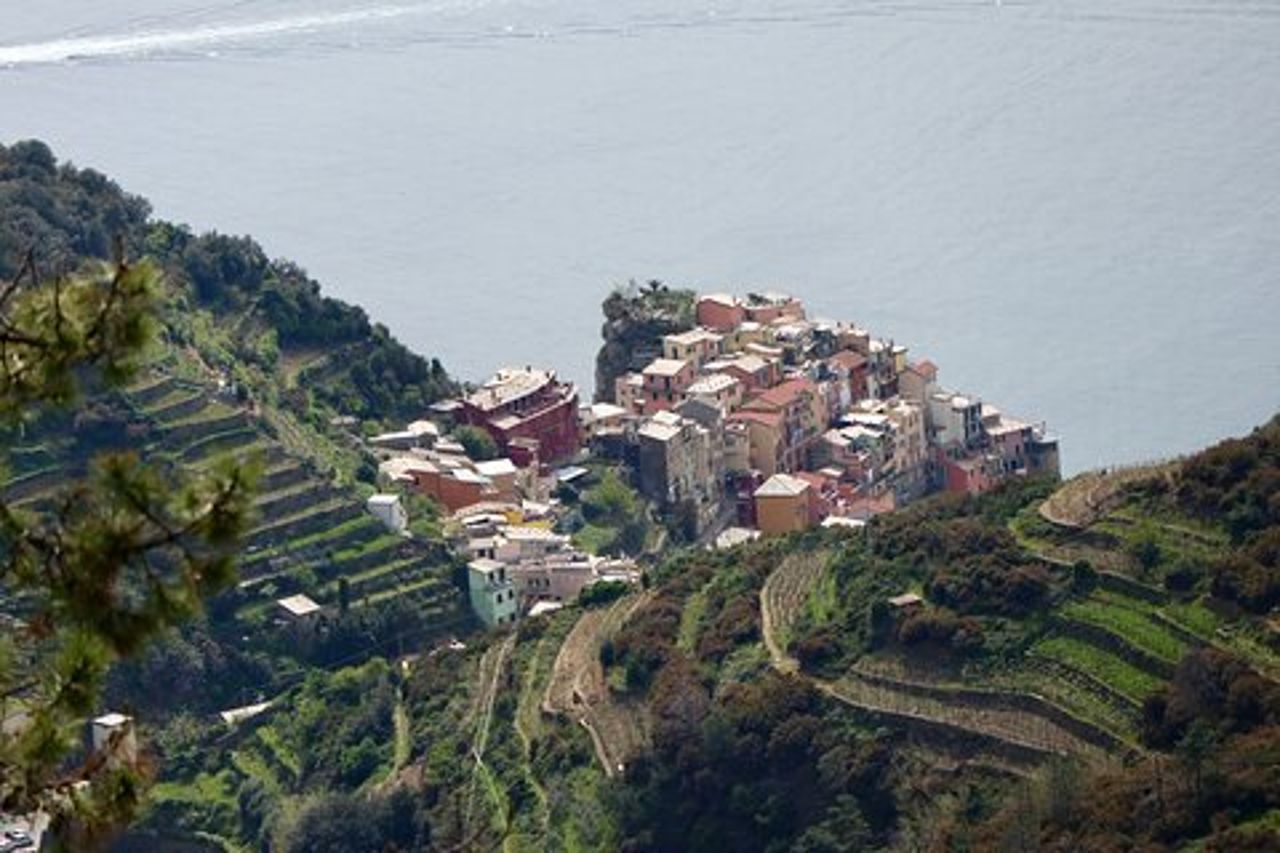 Trek & Tour privato delle Cinque Terre
