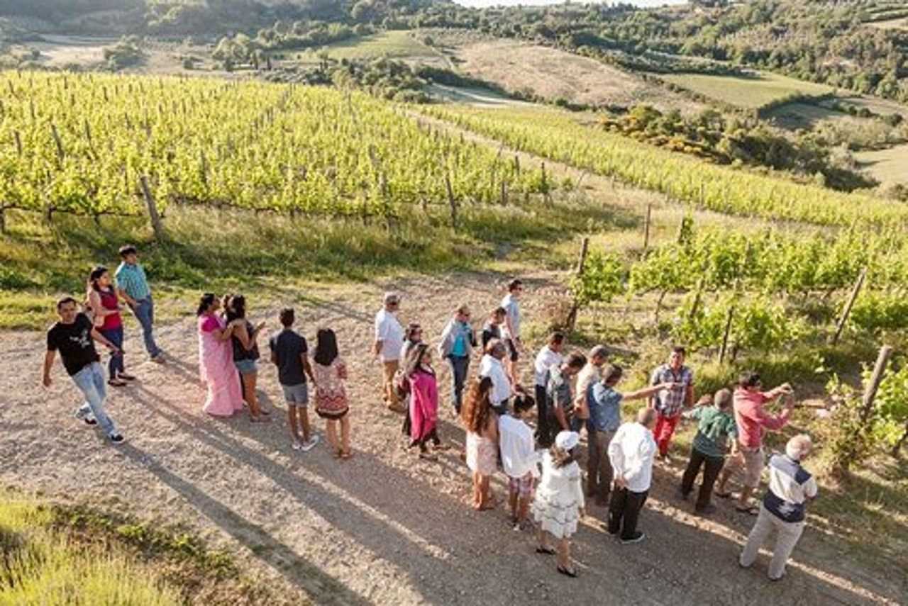 Vino Nobile Wine Tour in Montepulciano