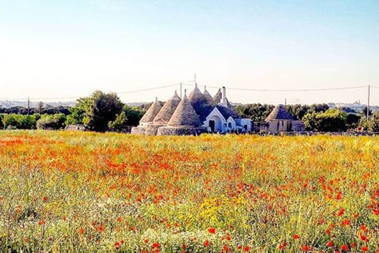 Tour di un giorno in Puglia: Bari, trulli di Alberobello, Castel del Monte e Sassi di Matera