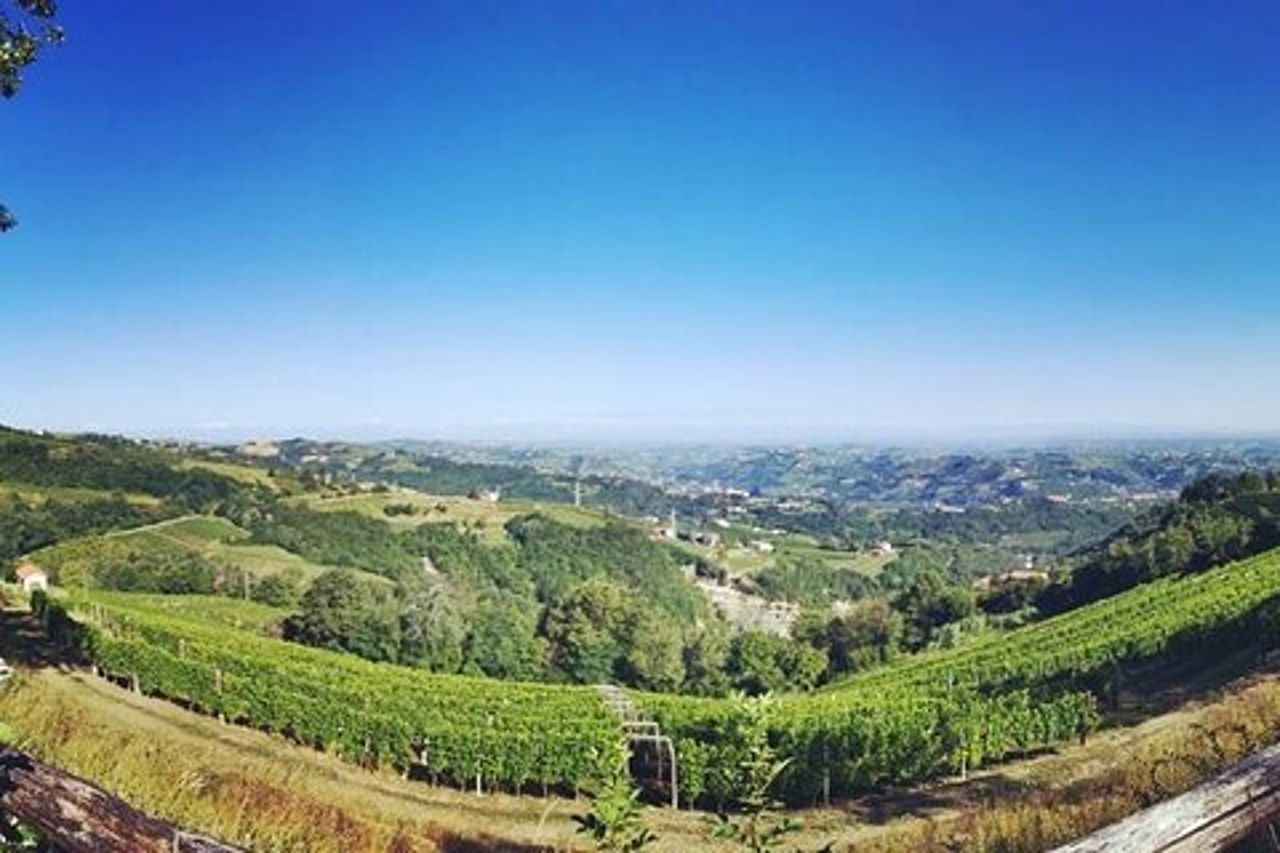 Barolo&Barbaresco Wine Experience con un Vignaiolo Locale / Milano