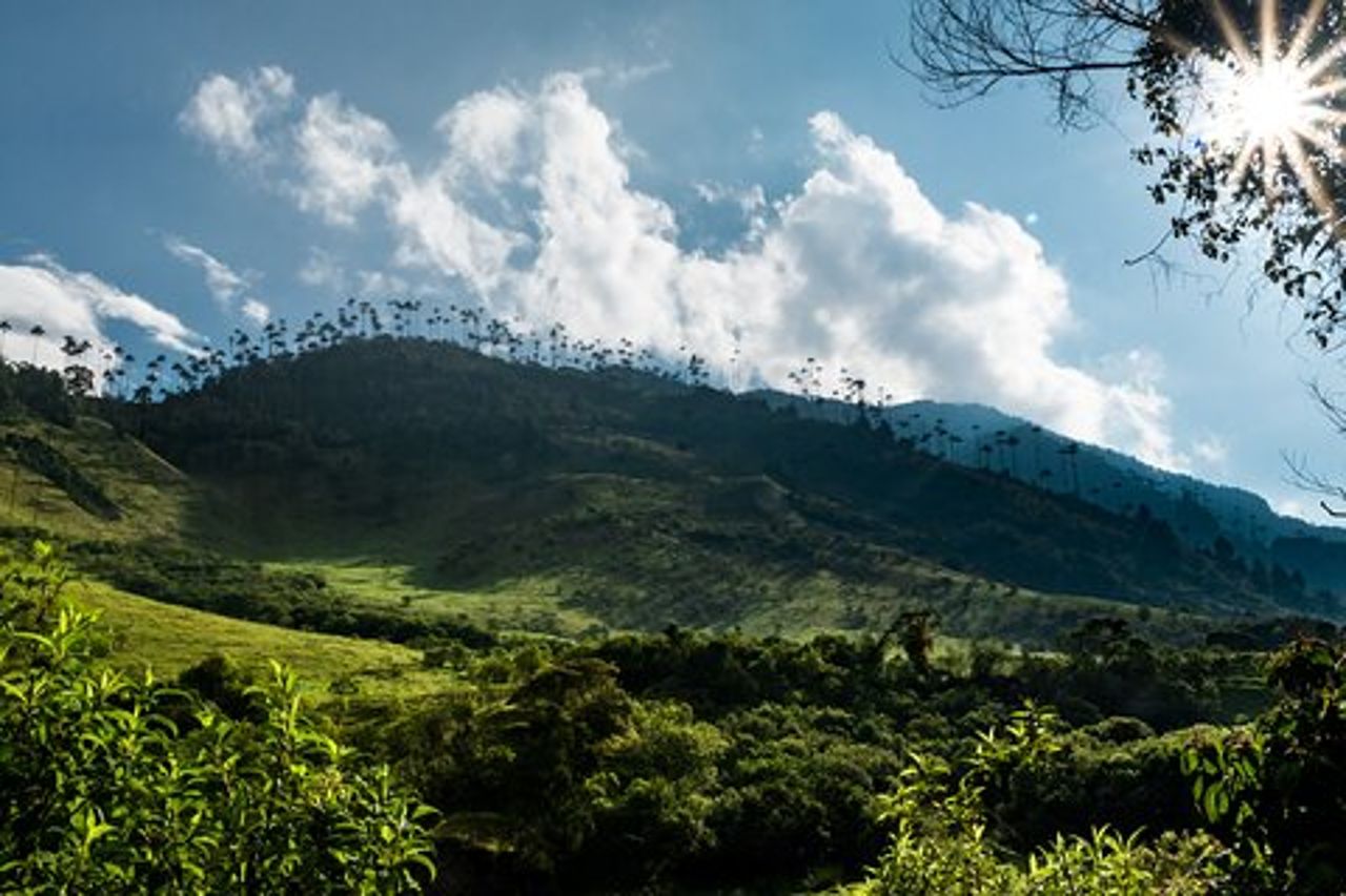 Intera giornata di arrampicata nella valle del Cocora con pranzo