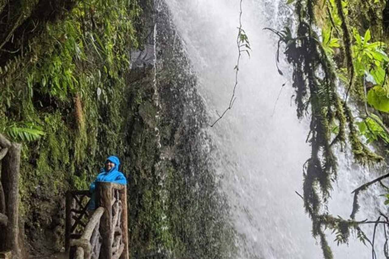 Tour privato del vulcano Poas e dei giardini delle cascate di La Paz