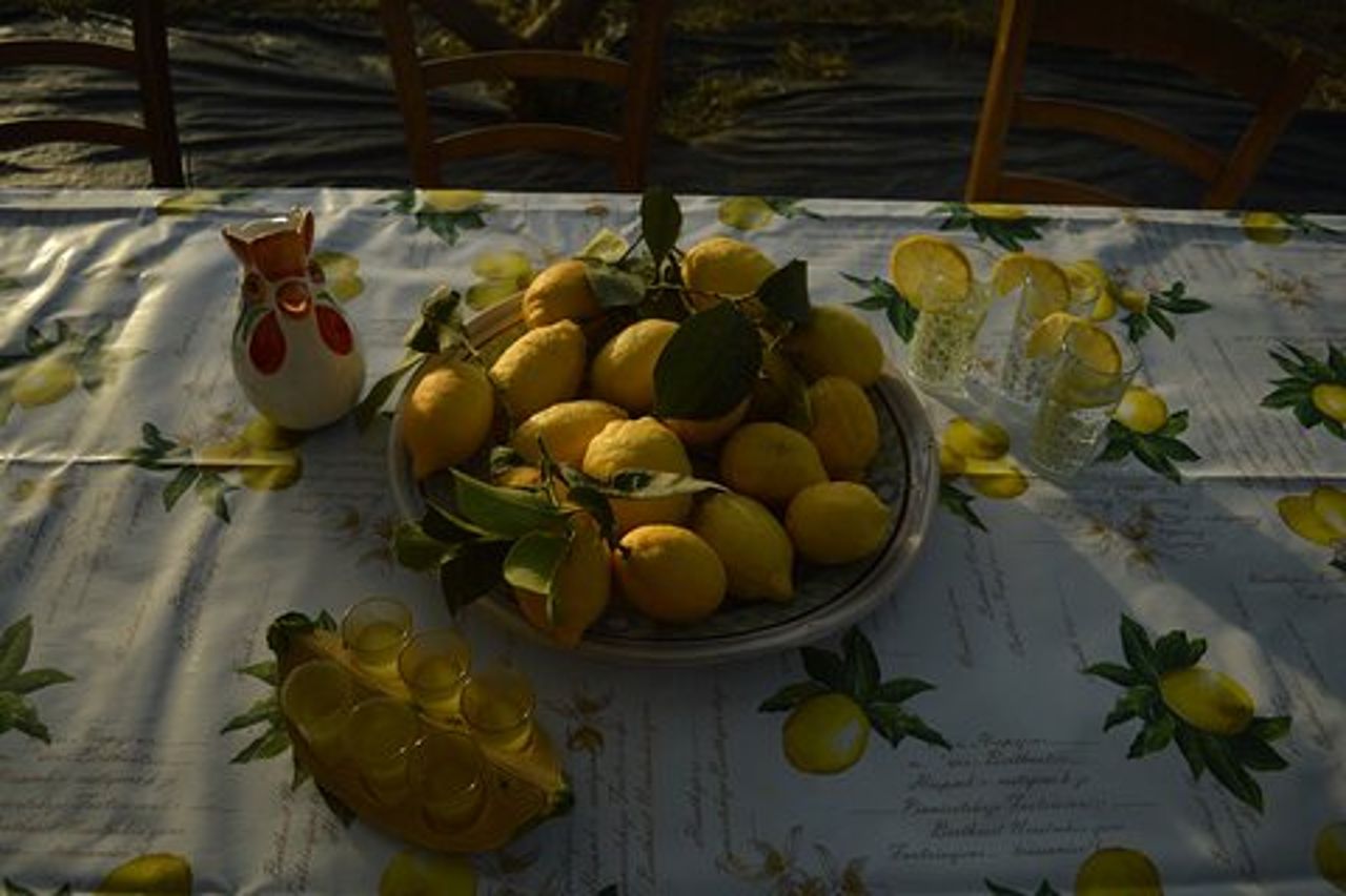Tour alla Scoperta del Limone Sorrentino a Massa Lubrense
