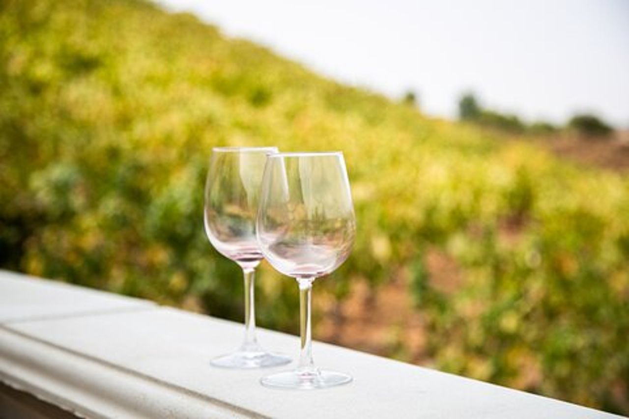 Tour del vino di Temecula da Orange County