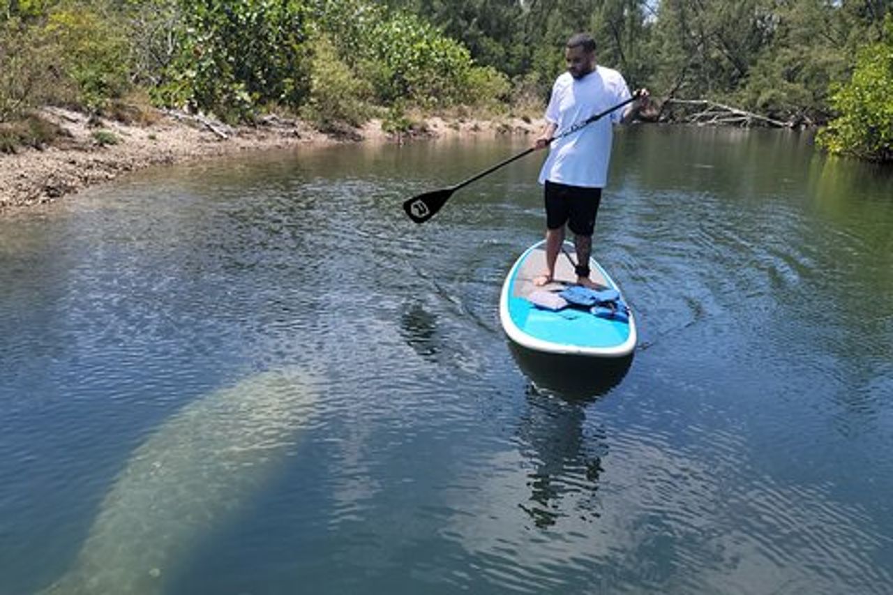 Esperienza di stand up paddle nella natura a Miami