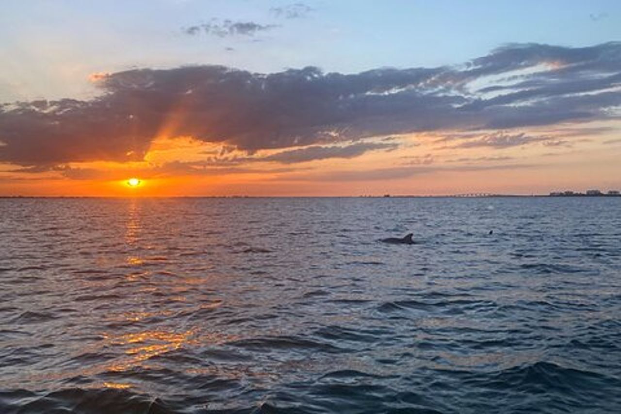 Crociera al tramonto e con i delfini intorno a Fort Myers Beach