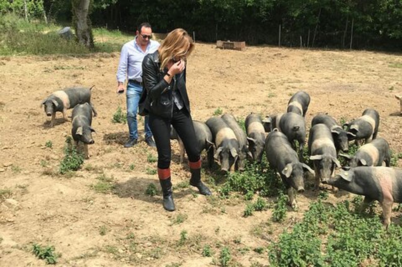 Visita della fattoria di Cinta Senese a Montepulciano