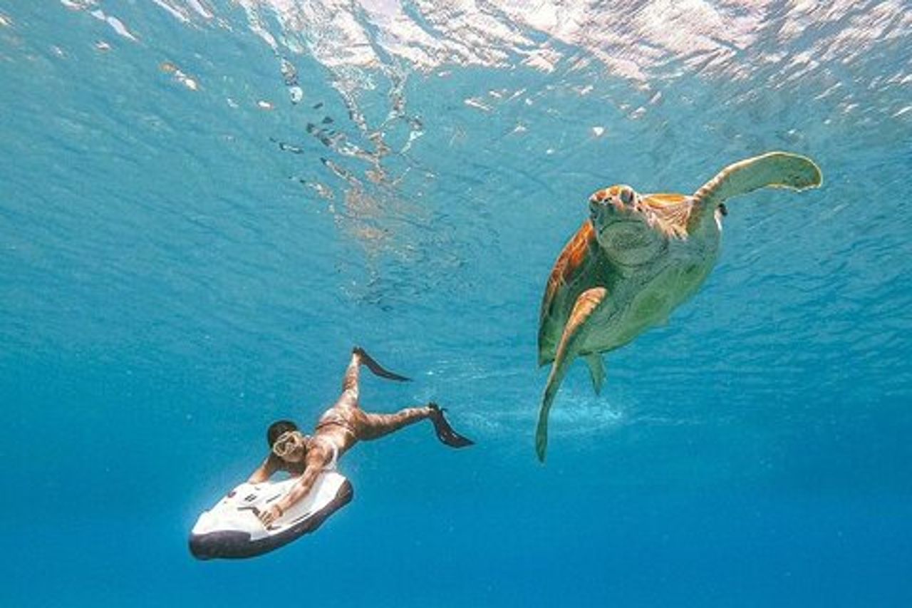Seabob in Guadalupa