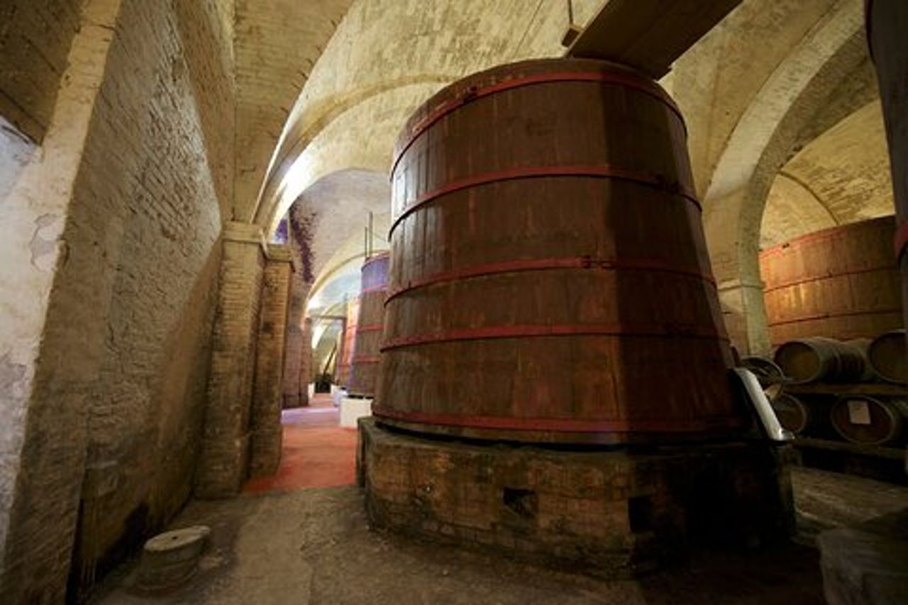 Tour Enogastronomico Privato in Cantina con Degustazioni