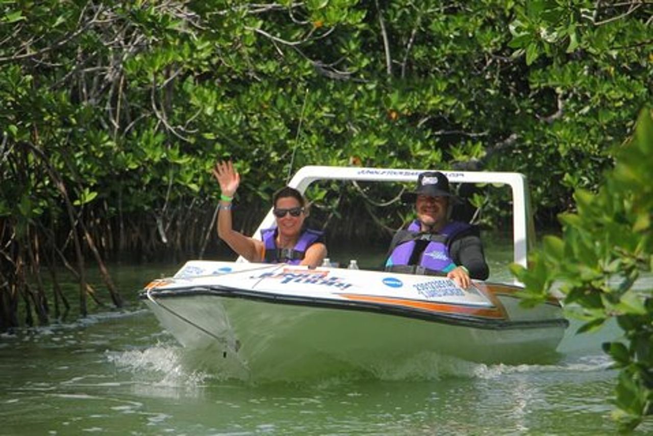 Tour in motoscafo delle mangrovie e della laguna