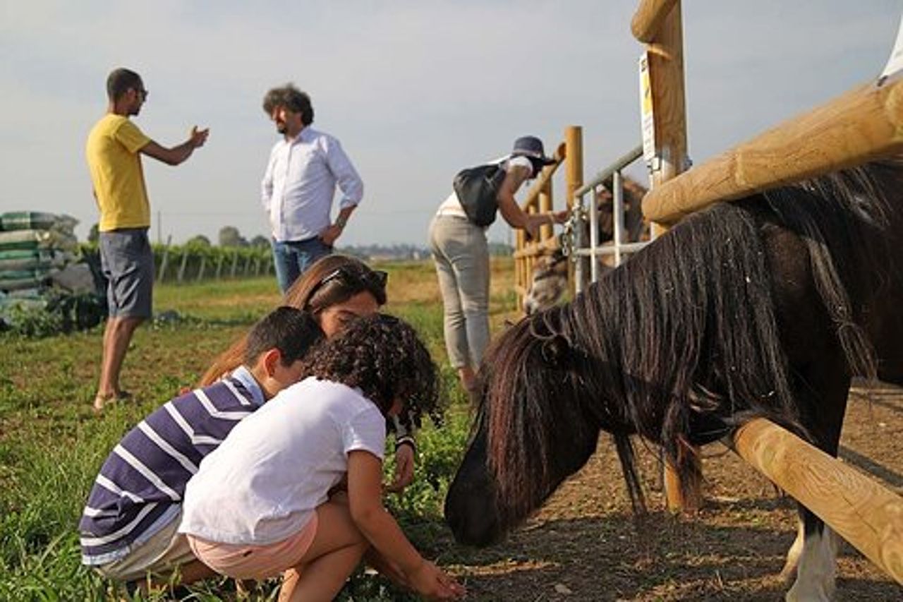 Fattoria Biodinamica e degustazione vini naturali a Lazise