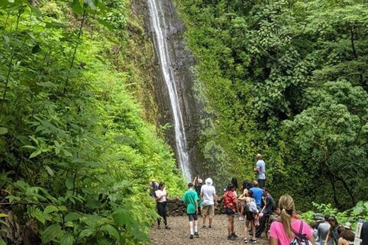 Giro in bici elettrica ed escursione alle cascate Manoa