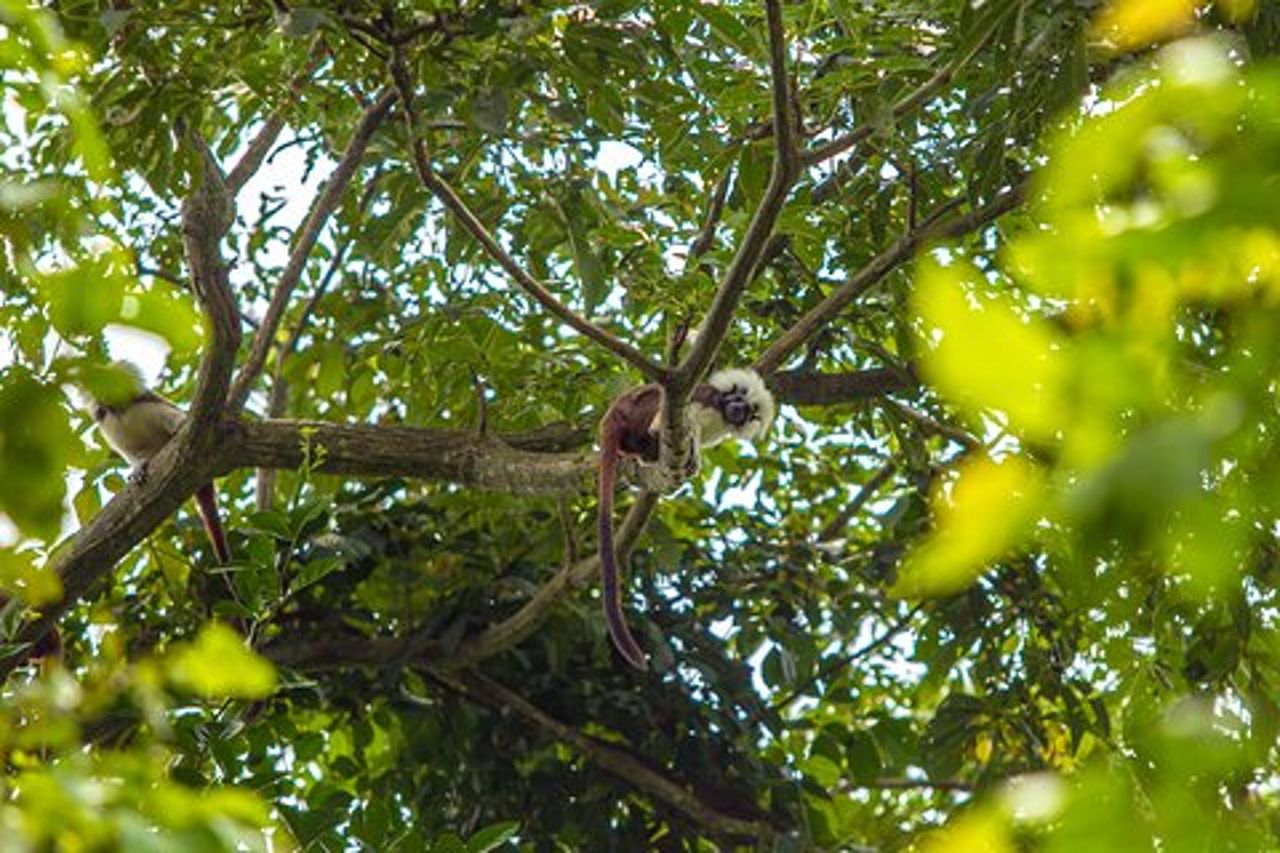 L'escursione sul sentiero degli ululati