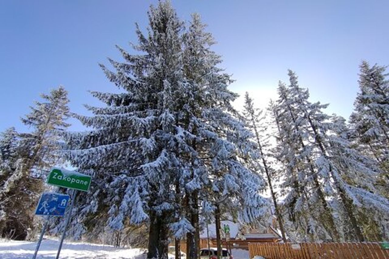 Da Cracovia: Terme di Zakopane & Chocholowskie