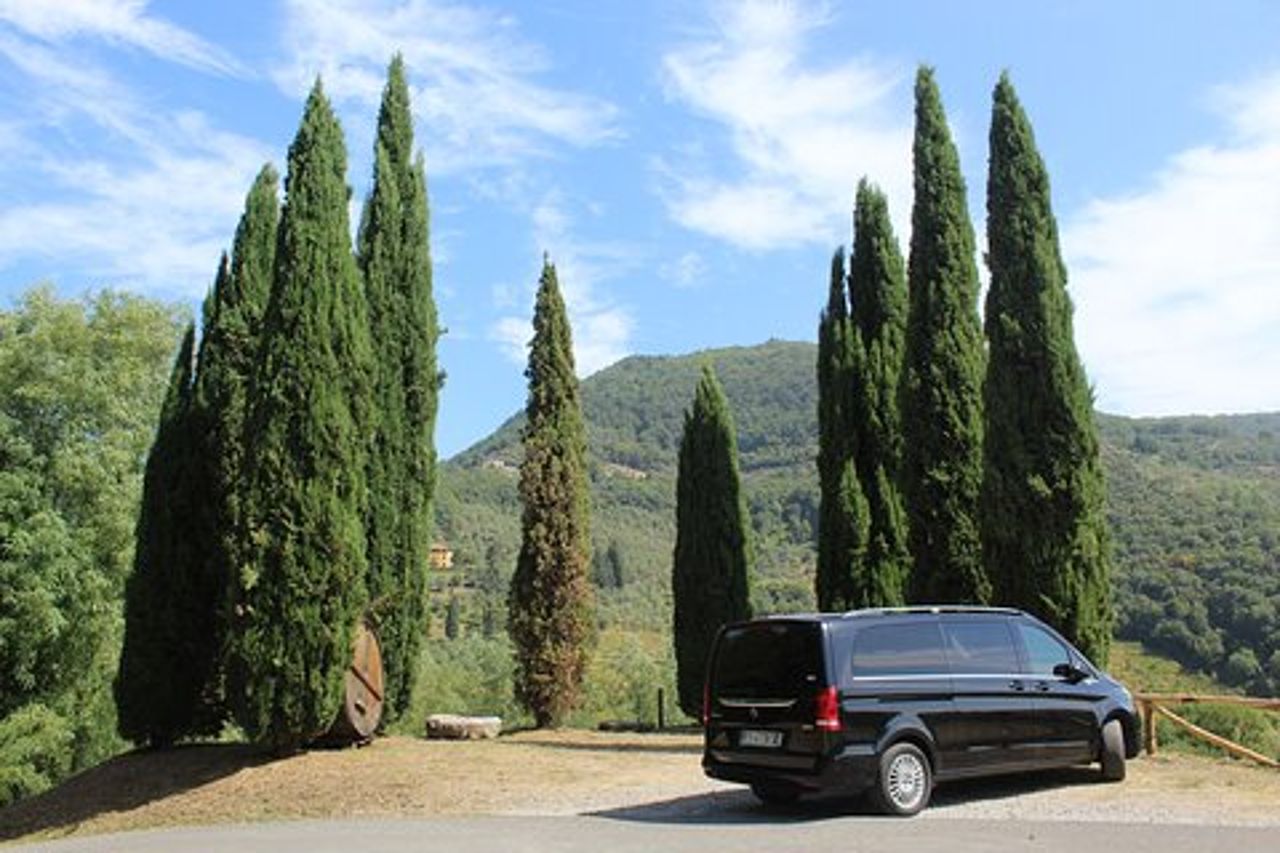 Degustazione in un Vigneto Toscano con trasferimento da Lucca