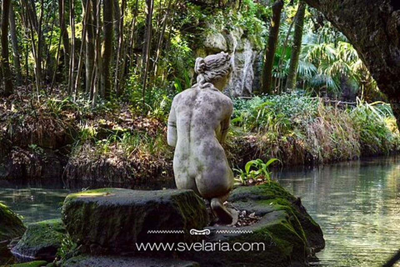 Visita guidata alla Reggia di Caserta con un'esperta d'arte