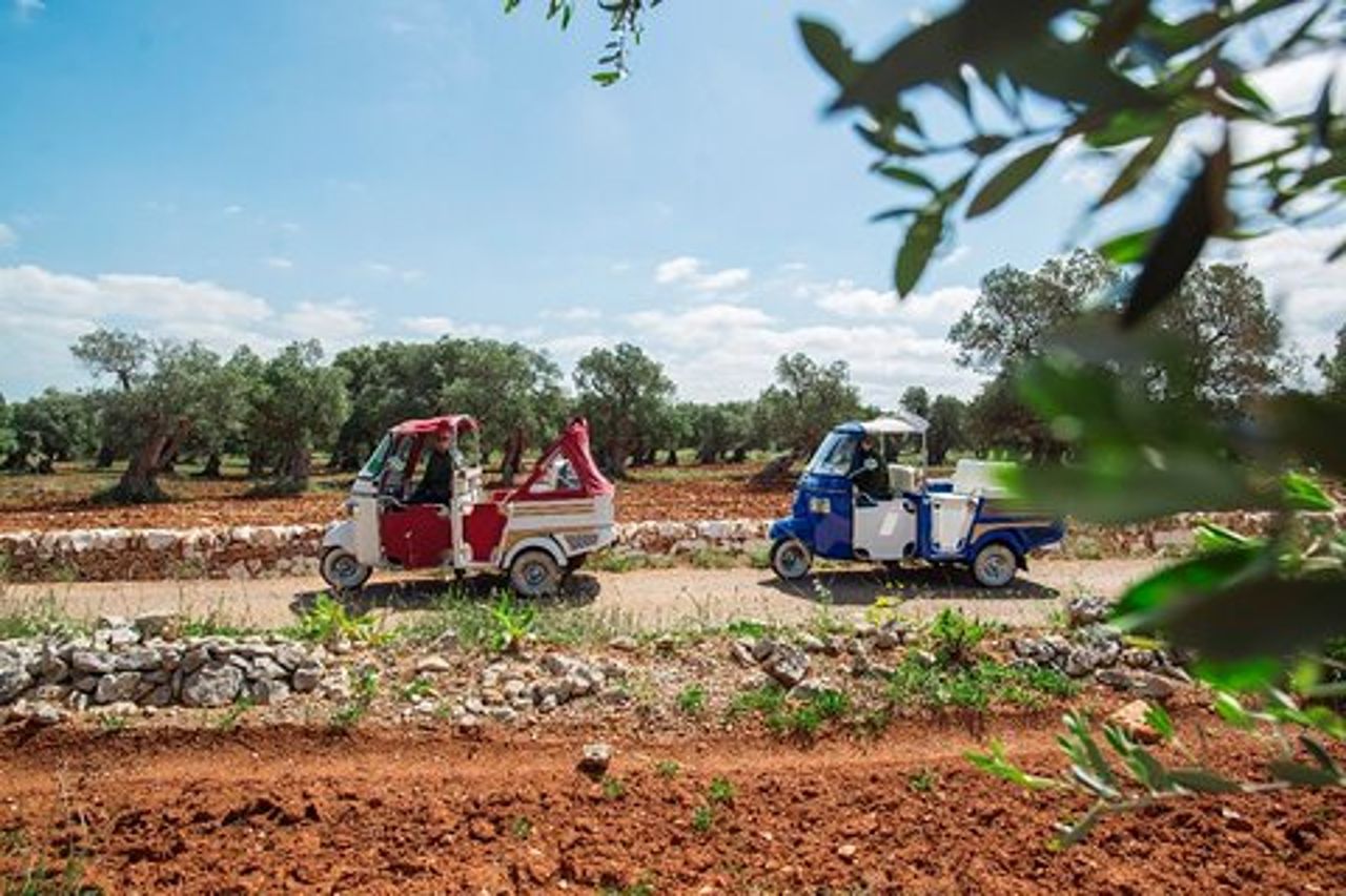 Tour Privato in Tuk Tuk degli Uliveti Millenari a Ostuni