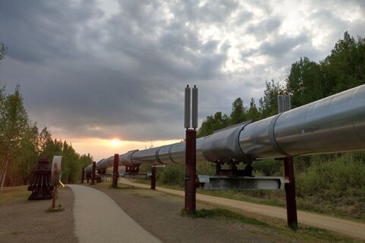 Tour Highlight della città di Fairbanks