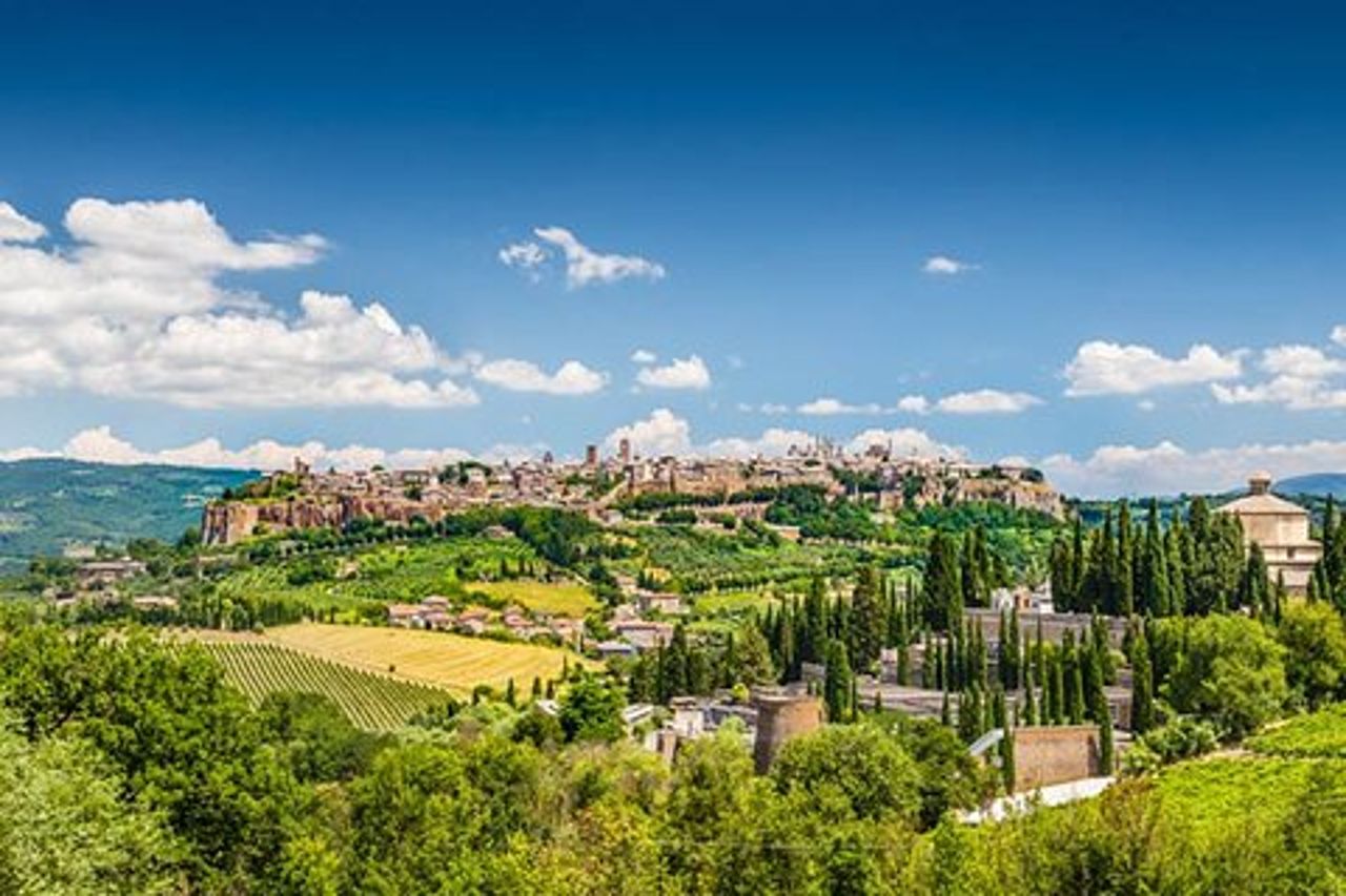 Visita privata di Orvieto da Roma con visita alle cantine