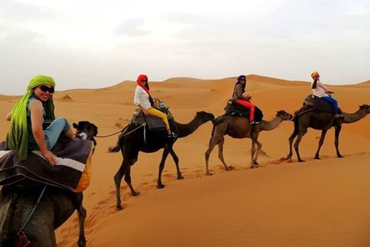 Tour condiviso di gruppo da Fez a Fez Sahara 2 giorni / 1 notte