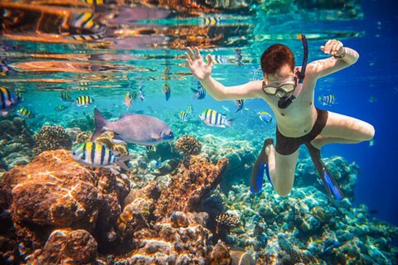 Tour in barca di Cabo San Lucas e snorkeling a Pelican Rock