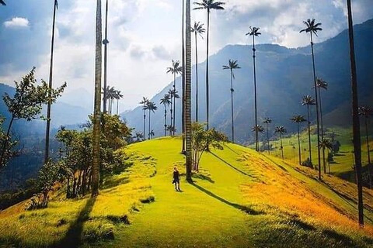 Tour della Valle del Cocora, del Salento e della Fattoria del Caffè