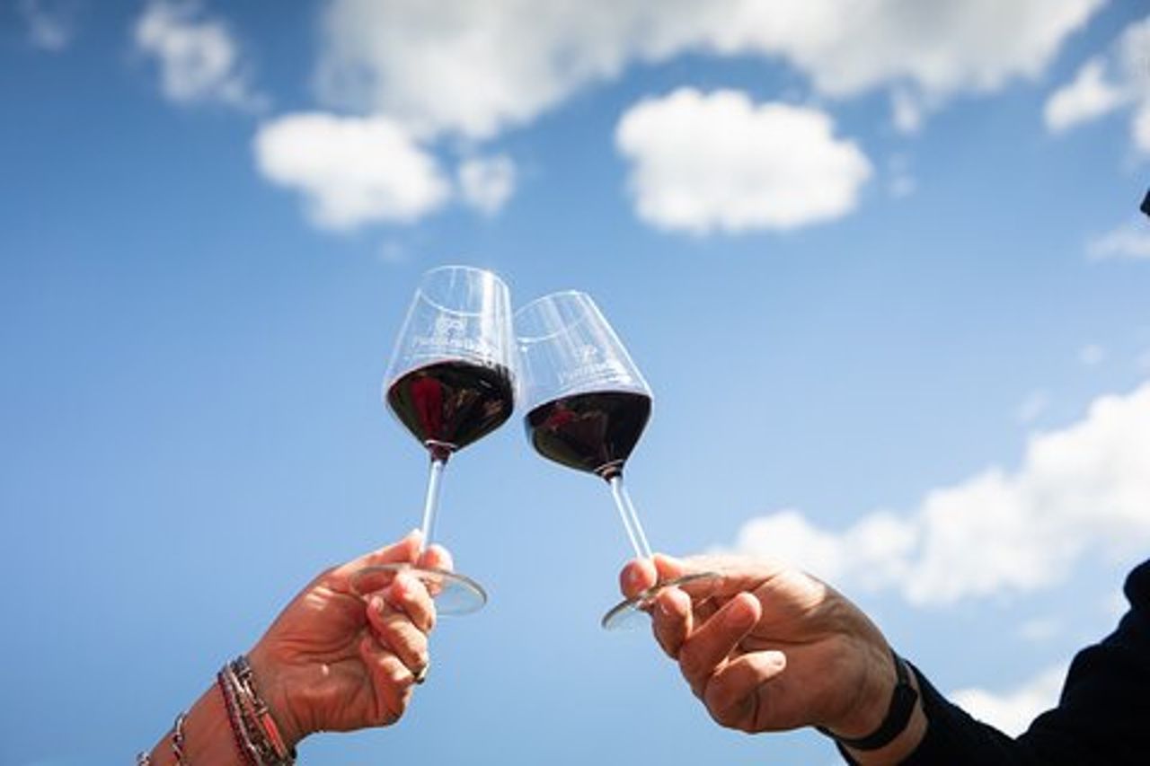 Trionfo dei Sapori, Tour Cantina, Vini Bio a Panzano in Chianti