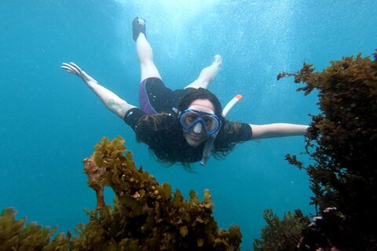 Escursione di 5 giorni alle Isole Galapagos con snorkeling e vulcani