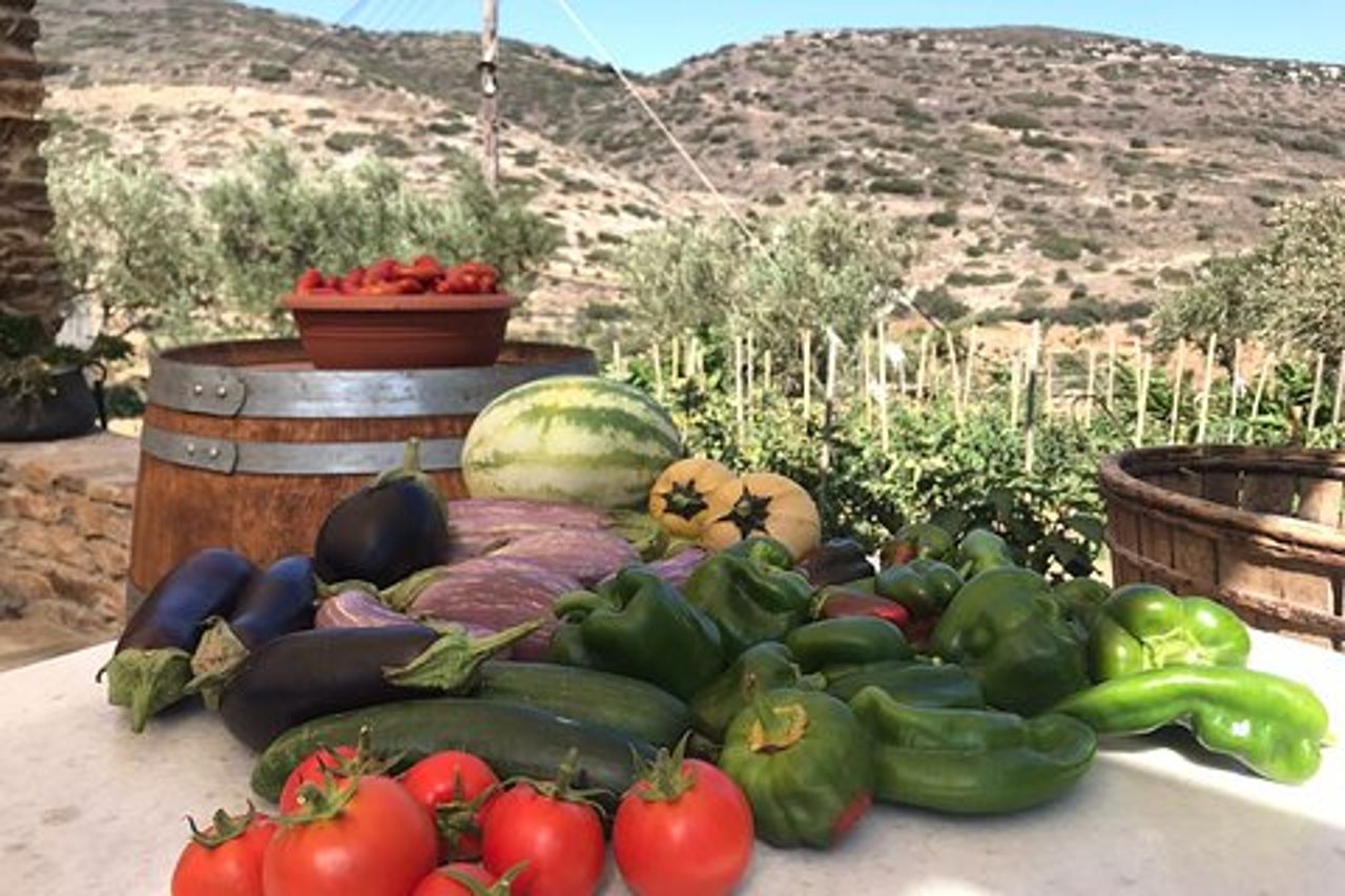 Degustazione di vini e tour nella cantina Sant'Anna a Naxos