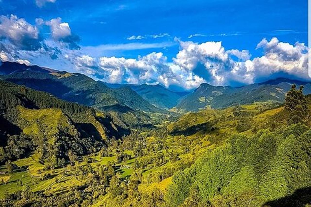 Tour a piedi di Cocora, Salento e Filandia (La figlia delle Ande) a Quindio