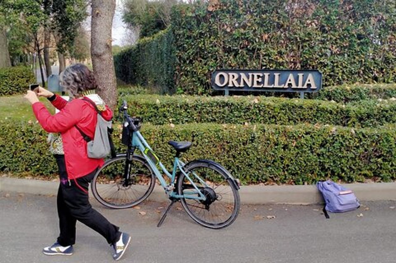Tour Privato in E-bike a Bolgheri con Lezione di Cucina