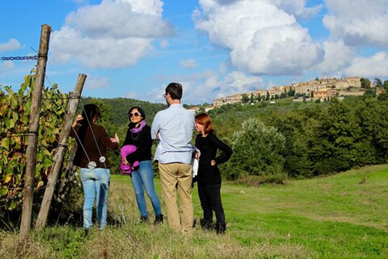 Degustazione di Vini e Visita al Vigneto e Cantina a Trequanda