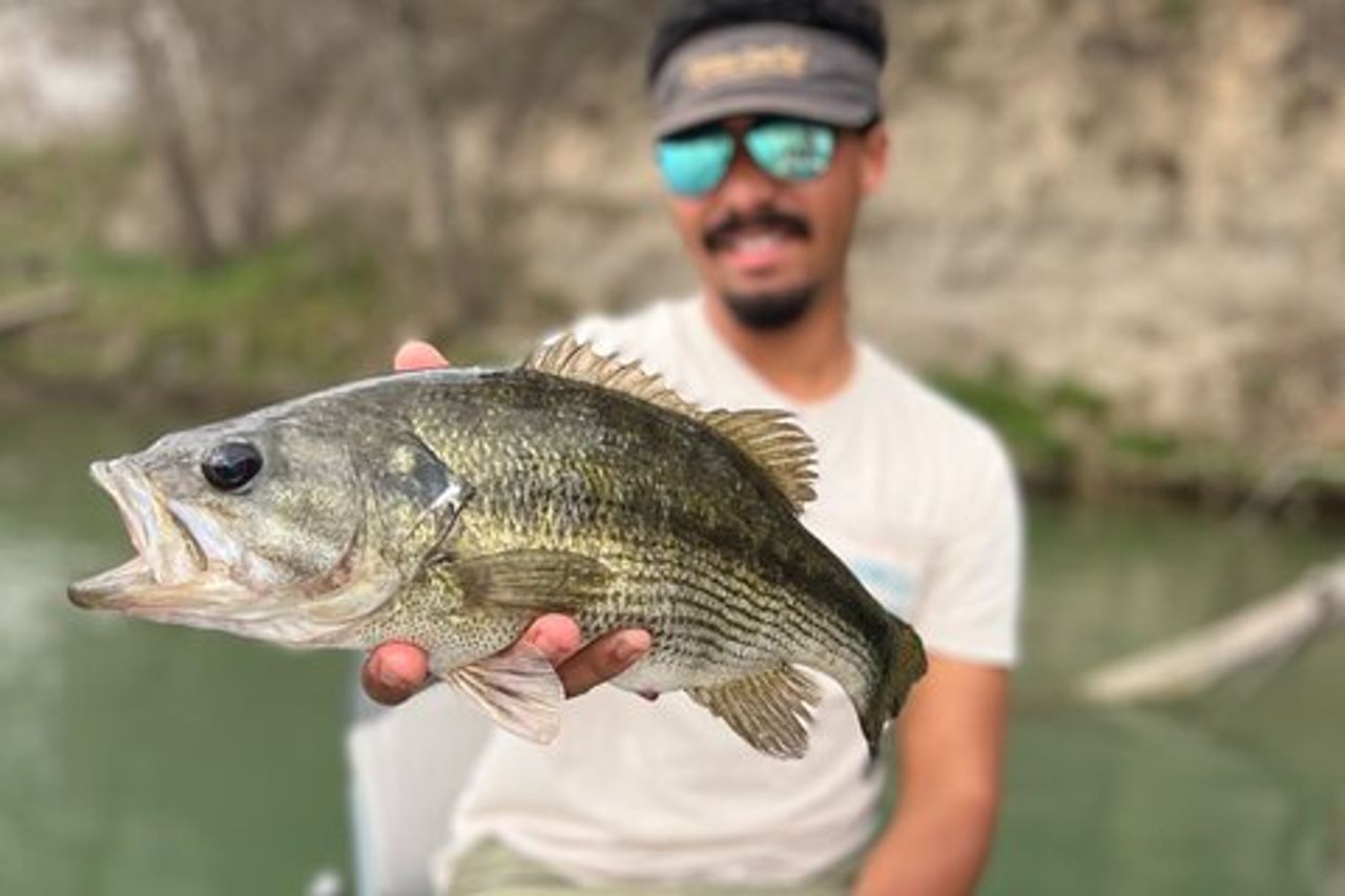 Tour guidato di pesca di un'intera giornata a Canyon Lake