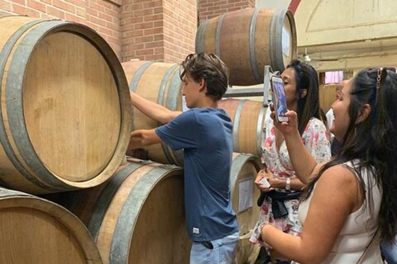 Tour Enologico Privato con Degustazione I Bianchi di Langa