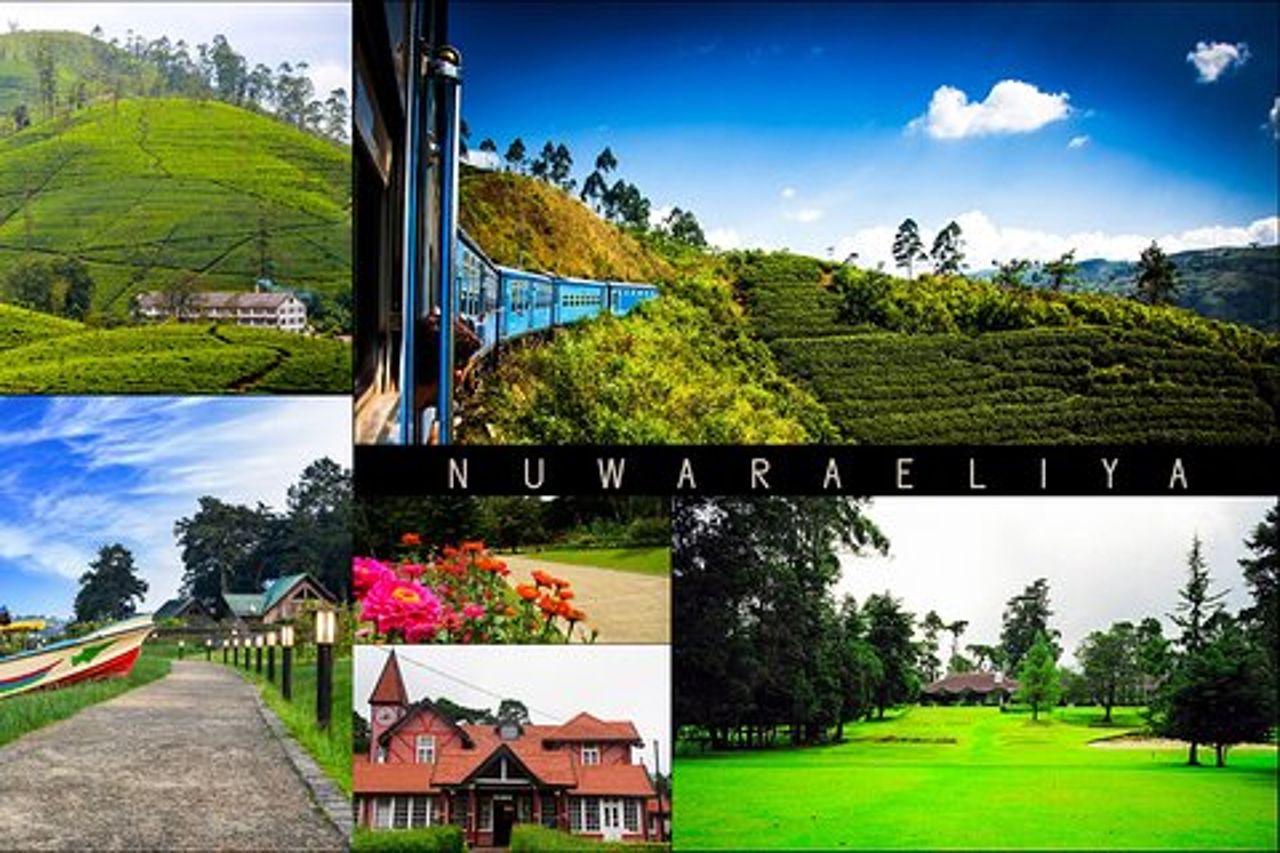 Gita di un giorno da Kandy a Nuwara Eliya – Little England & Tea Country