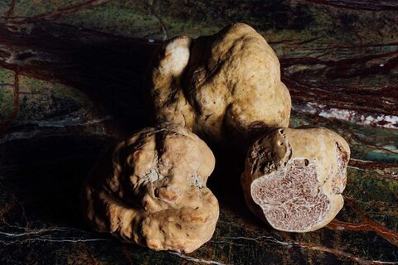 Tour di mezza giornata, con pranzo a base di tartufo: Alla scoperta delle terre del Duca