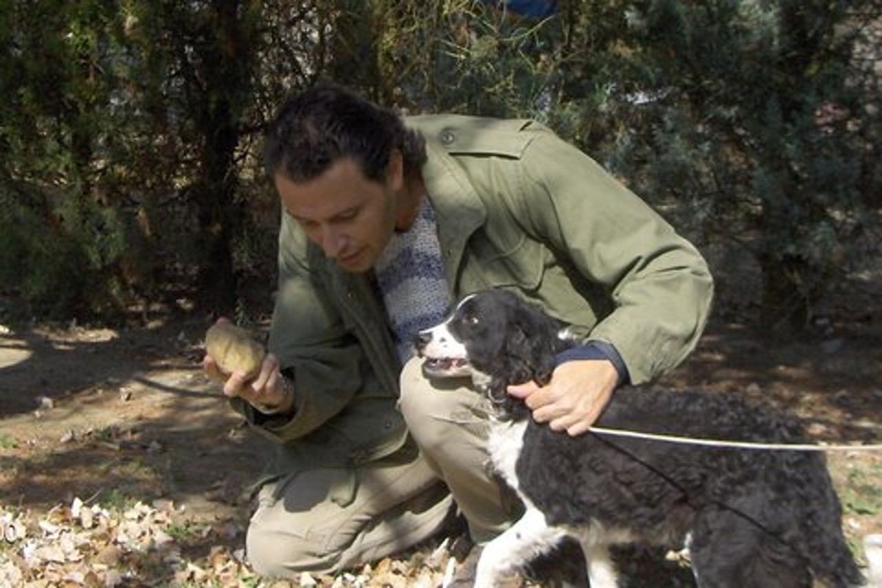 Caccia e degustazione di tartufo a San Miniato Toscana con cani