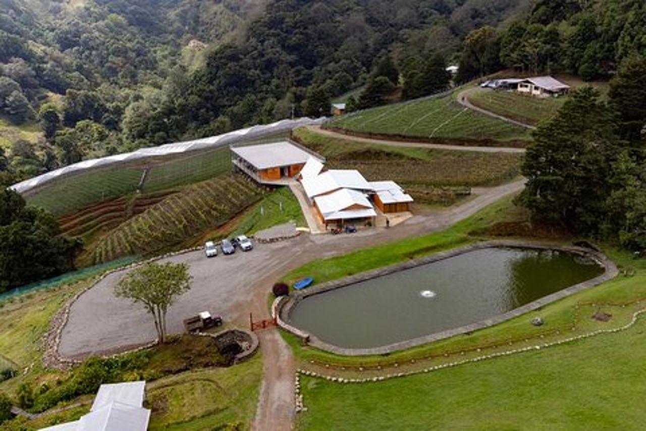 Tour del vino e degustazione
