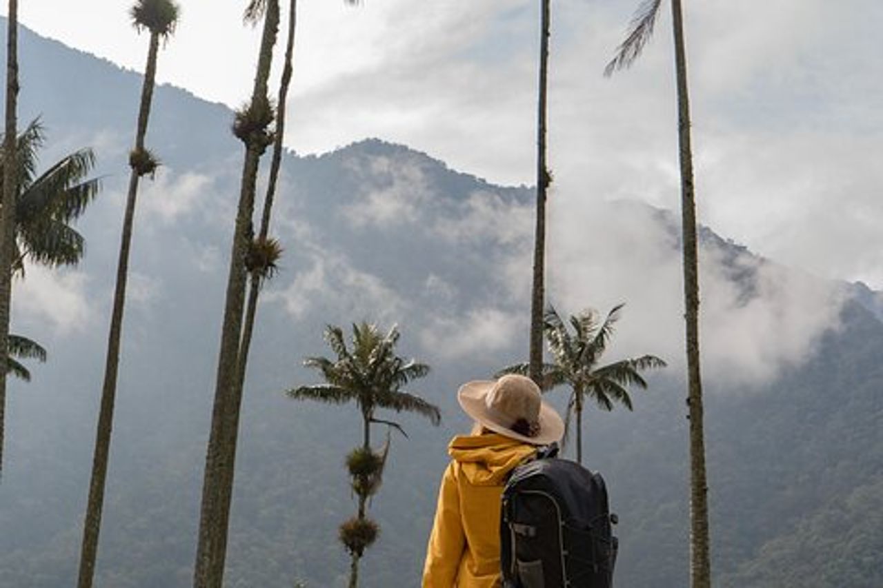 Tour di una giornata a cavallo della Valle del Cocora e del Salento