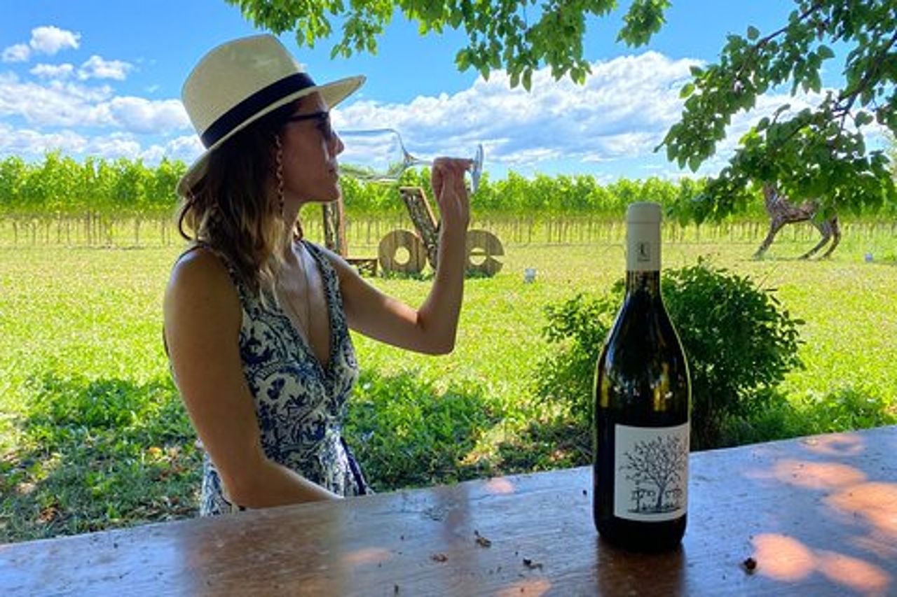 Visita e degustazione in cantina a Grado