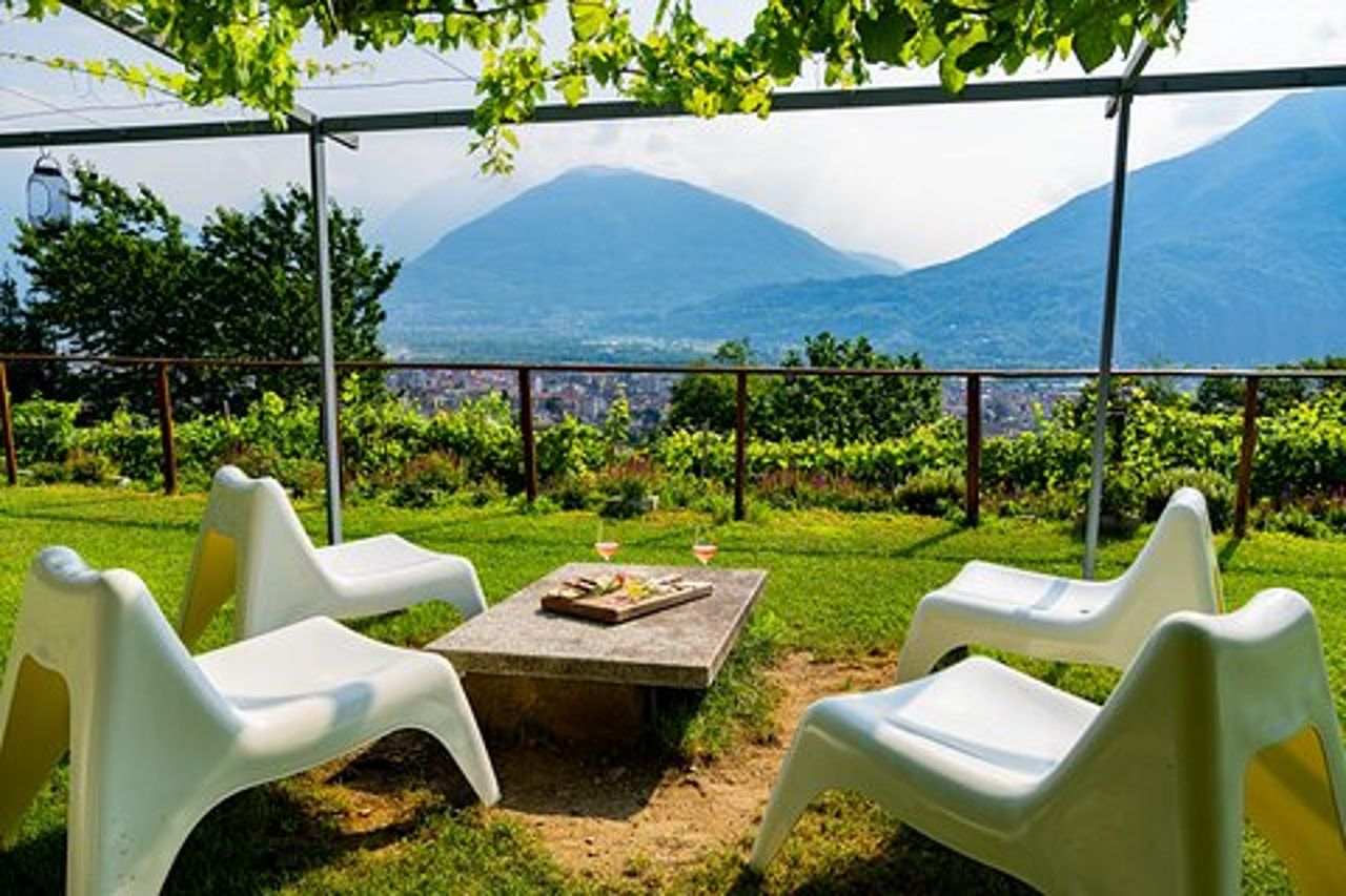 Assapora i vini dell'Ossola e le prelibatezze locali in un vigneto panoramico
