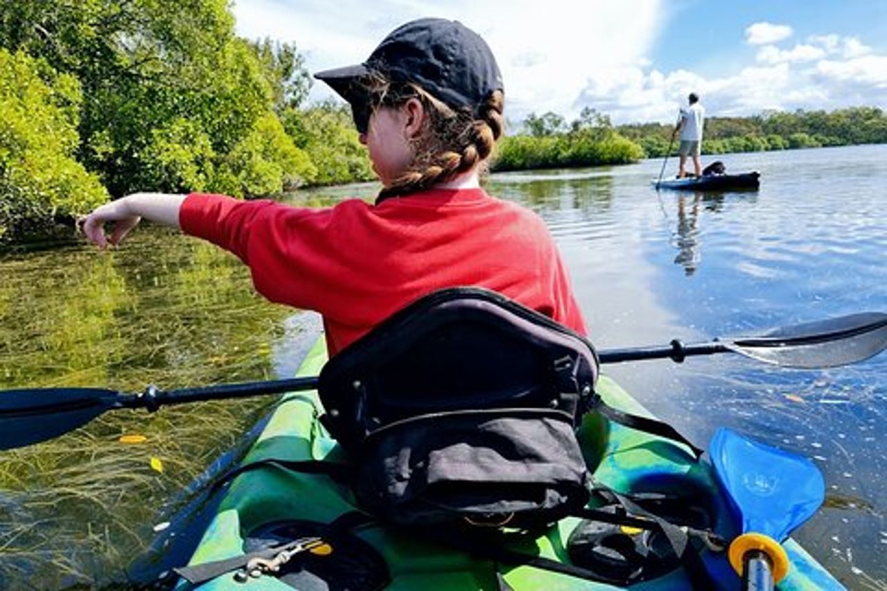 Noosa Everglade Kayak -Sud/Noosa End - Alla ricerca delle razze!