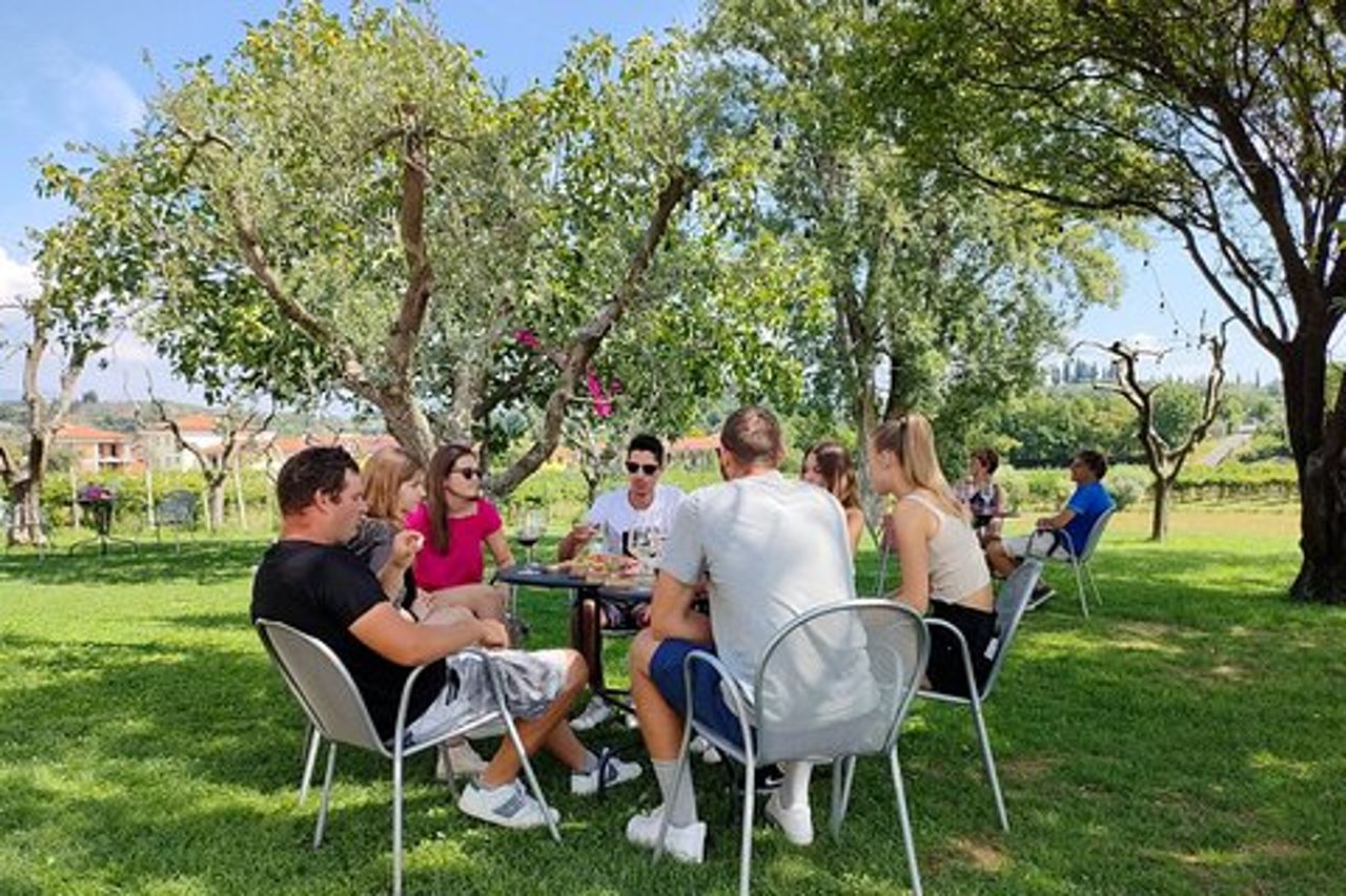 Degustazione vini e cibo locale nell'entroterra di Lazise