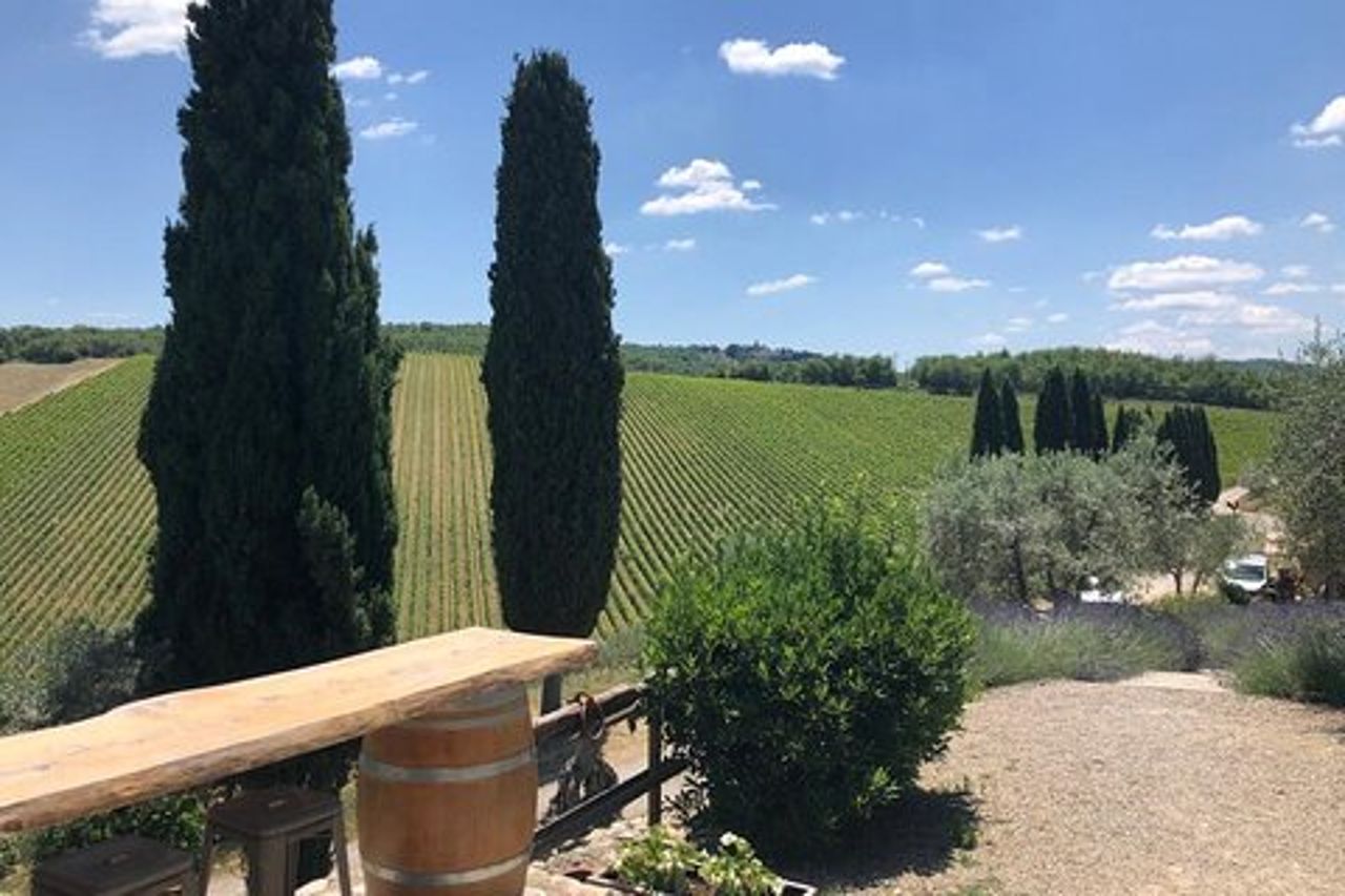 Visita Del Chianti Classico E Della Campagna Toscana