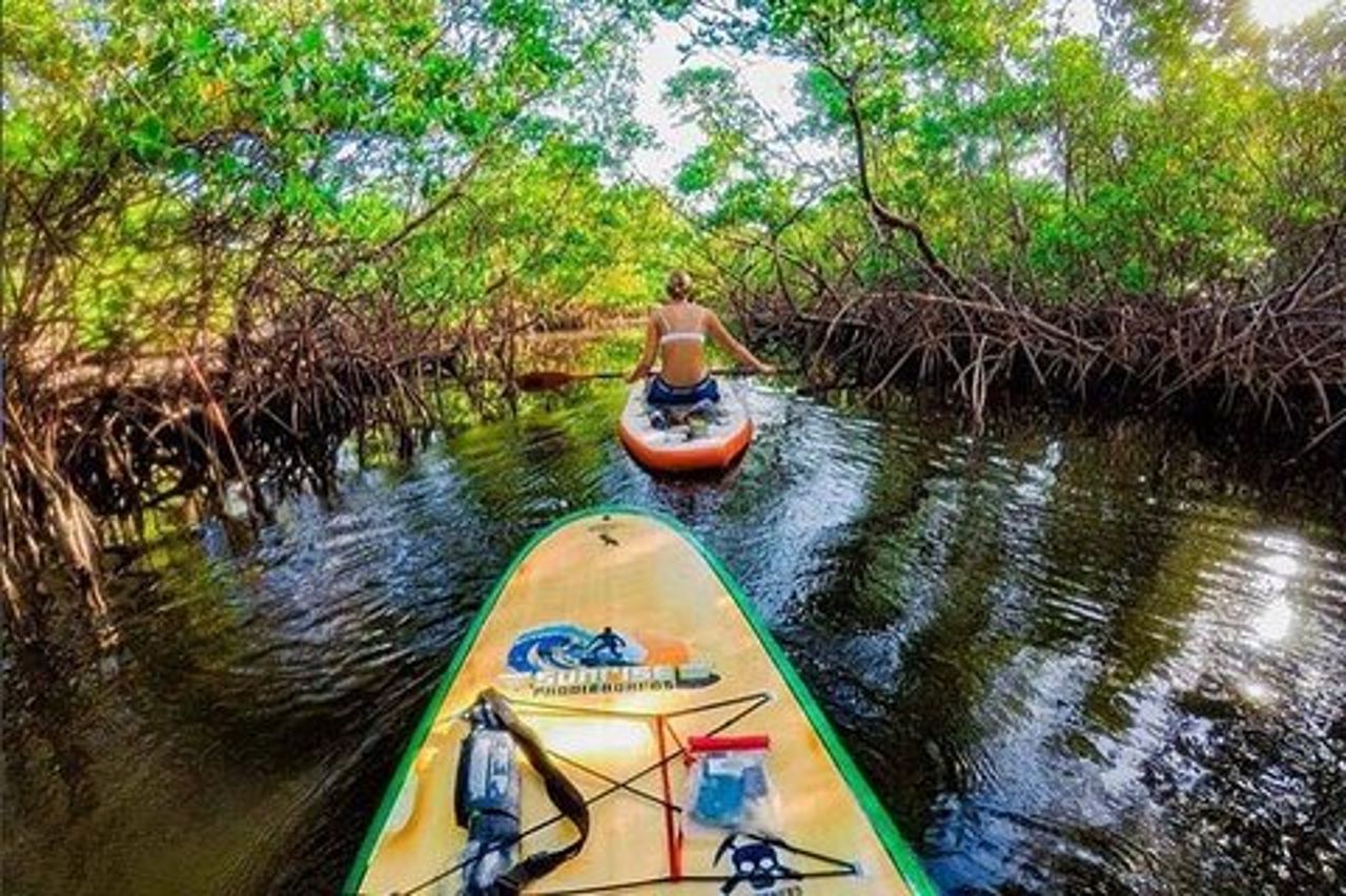 Bonnet House Ground, giardini, museo e avventura in kayak/SUP Paddle