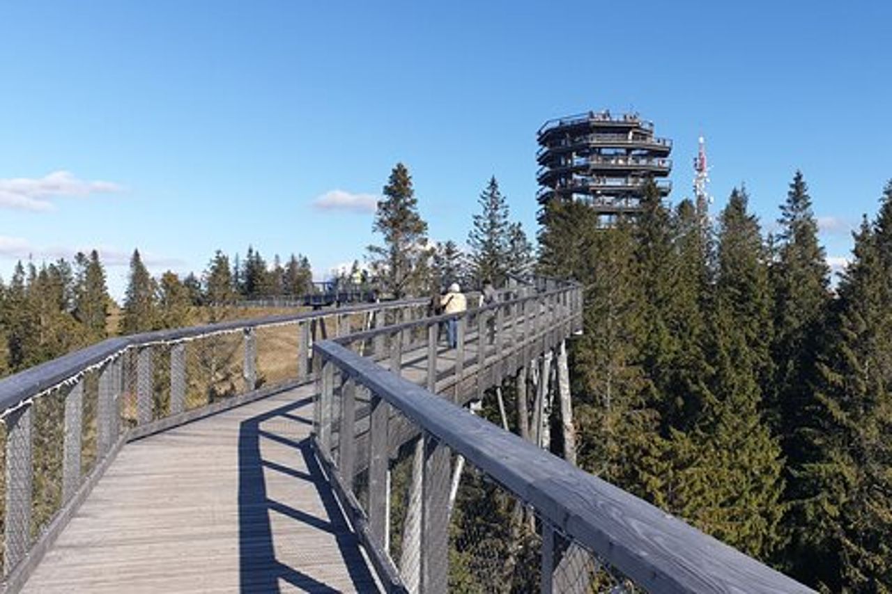 Tour privato di un'intera giornata della Slovacchia Treetop Walk e Zakopane