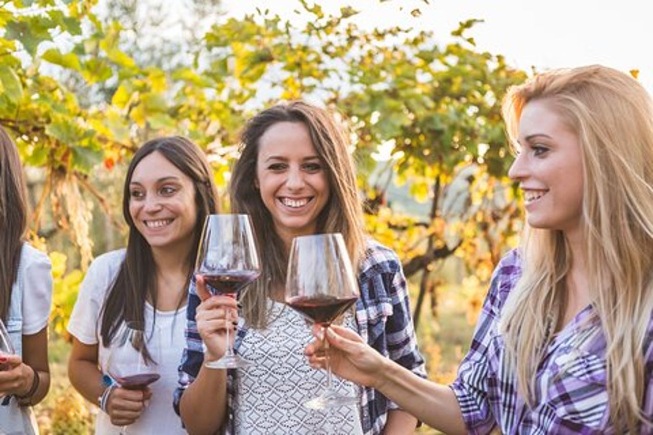 Tour per gli amanti del vino a Malta