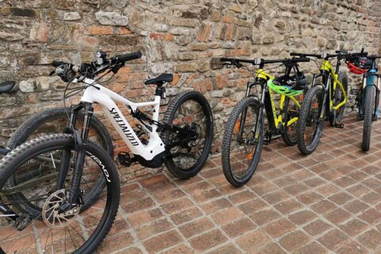 3 Ore Tour in E-bike con Parmigiano e Aceto Balsamico