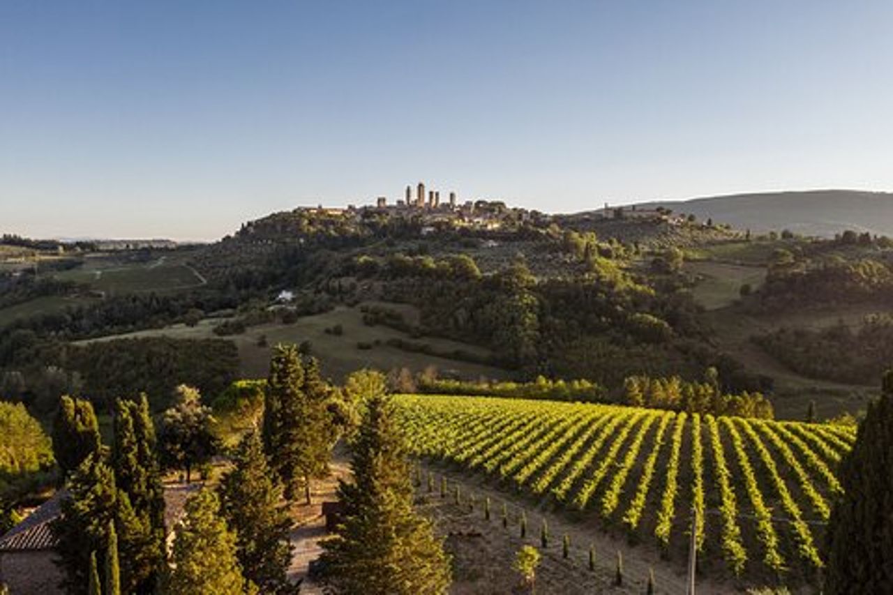 5 Degustazioni di Vini a San Gimignano