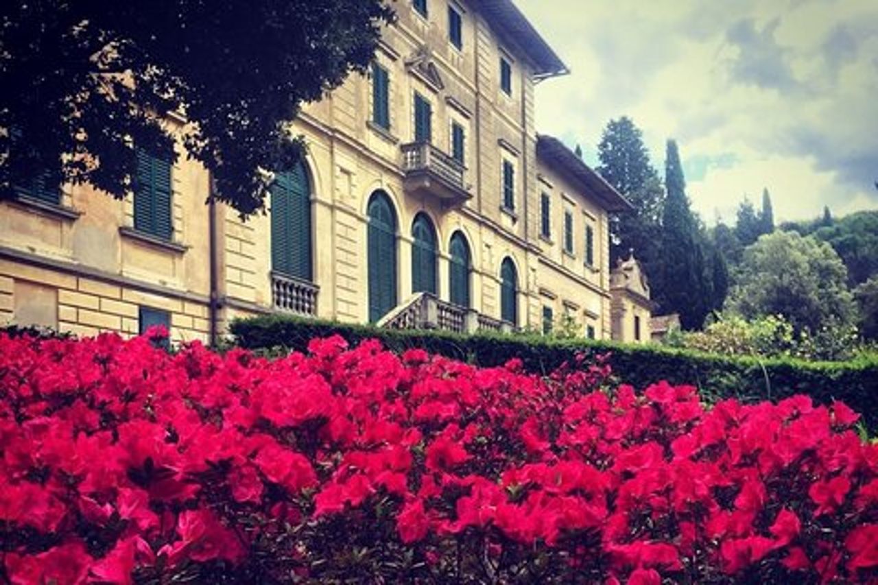 Attività di degustazione di vini nel Chianti Rufina